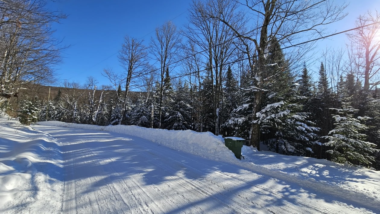 Photo 15 — Chemin des bouleaux, Saint-Adoplhe-D'Howard, J0T 2B0, Saint-Adoplhe-D'Howard