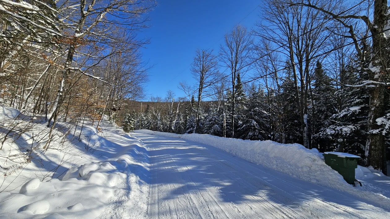 Photo 13 — Chemin des bouleaux, Saint-Adoplhe-D'Howard, J0T 2B0, Saint-Adoplhe-D'Howard