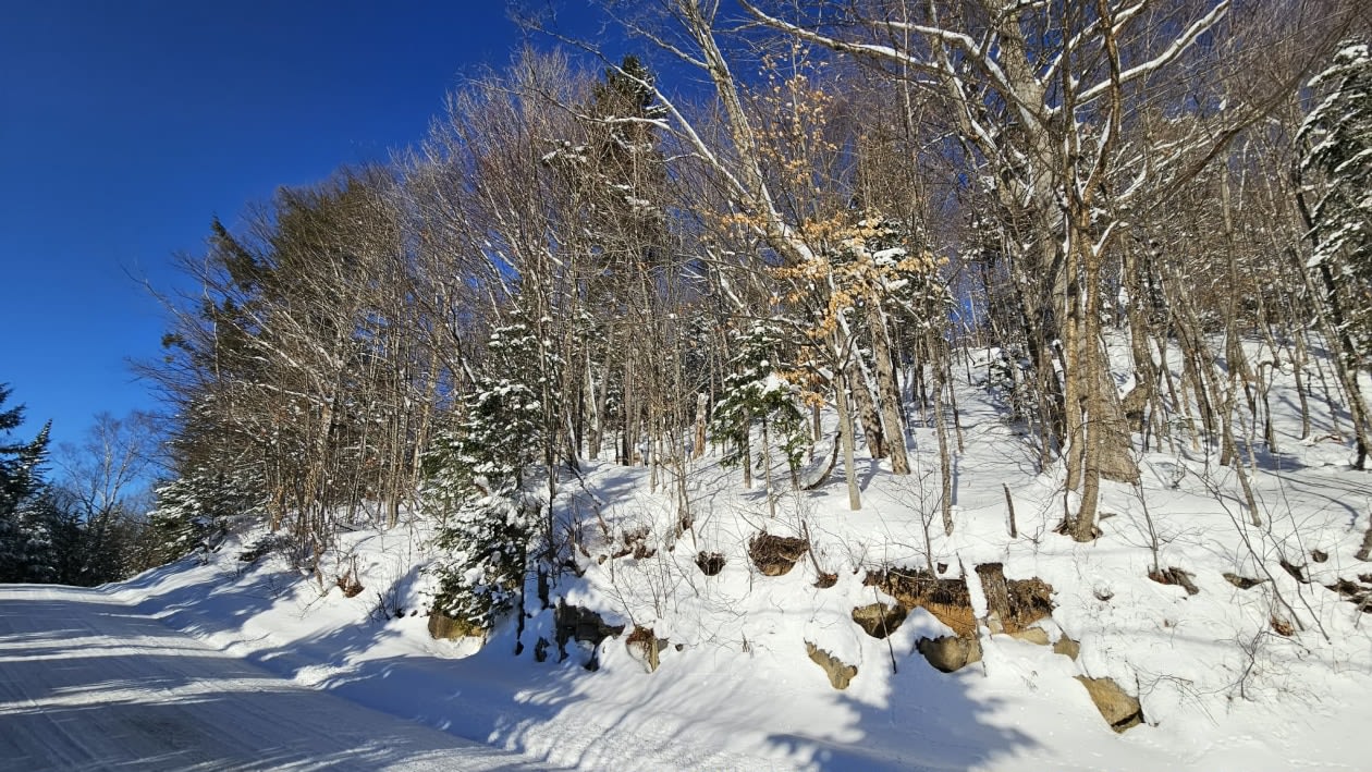 Photo 12 — Chemin des bouleaux, Saint-Adoplhe-D'Howard, J0T 2B0, Saint-Adoplhe-D'Howard