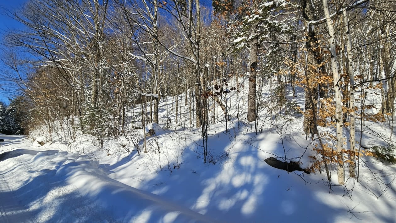 Photo 16 — Chemin des bouleaux, Saint-Adoplhe-D'Howard, J0T 2B0, Saint-Adoplhe-D'Howard