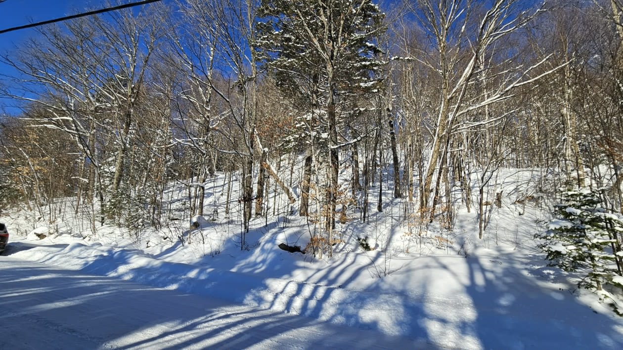 Photo 17 — Chemin des bouleaux, Saint-Adoplhe-D'Howard, J0T 2B0, Saint-Adoplhe-D'Howard