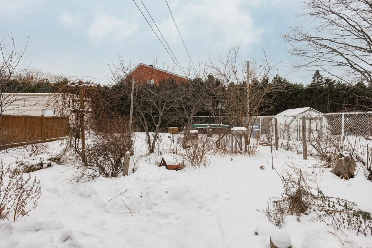 Cour — 3680 Rue Broadway, Lachine, H8T 1T3, Lachine