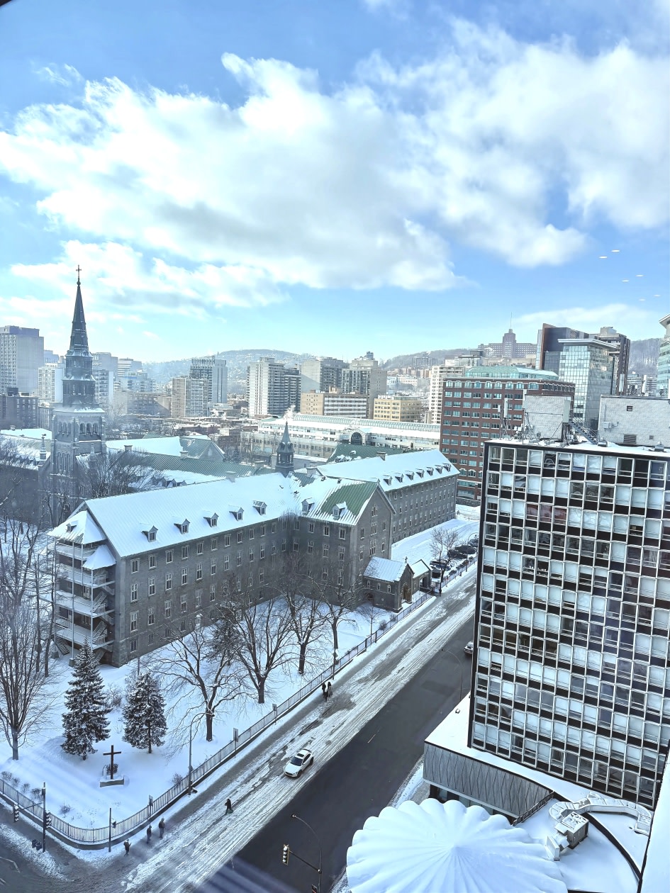 Photo 6 — 1500 Boul Rene Levesque O, 1413, Montreal, H3G 0H6, Montreal