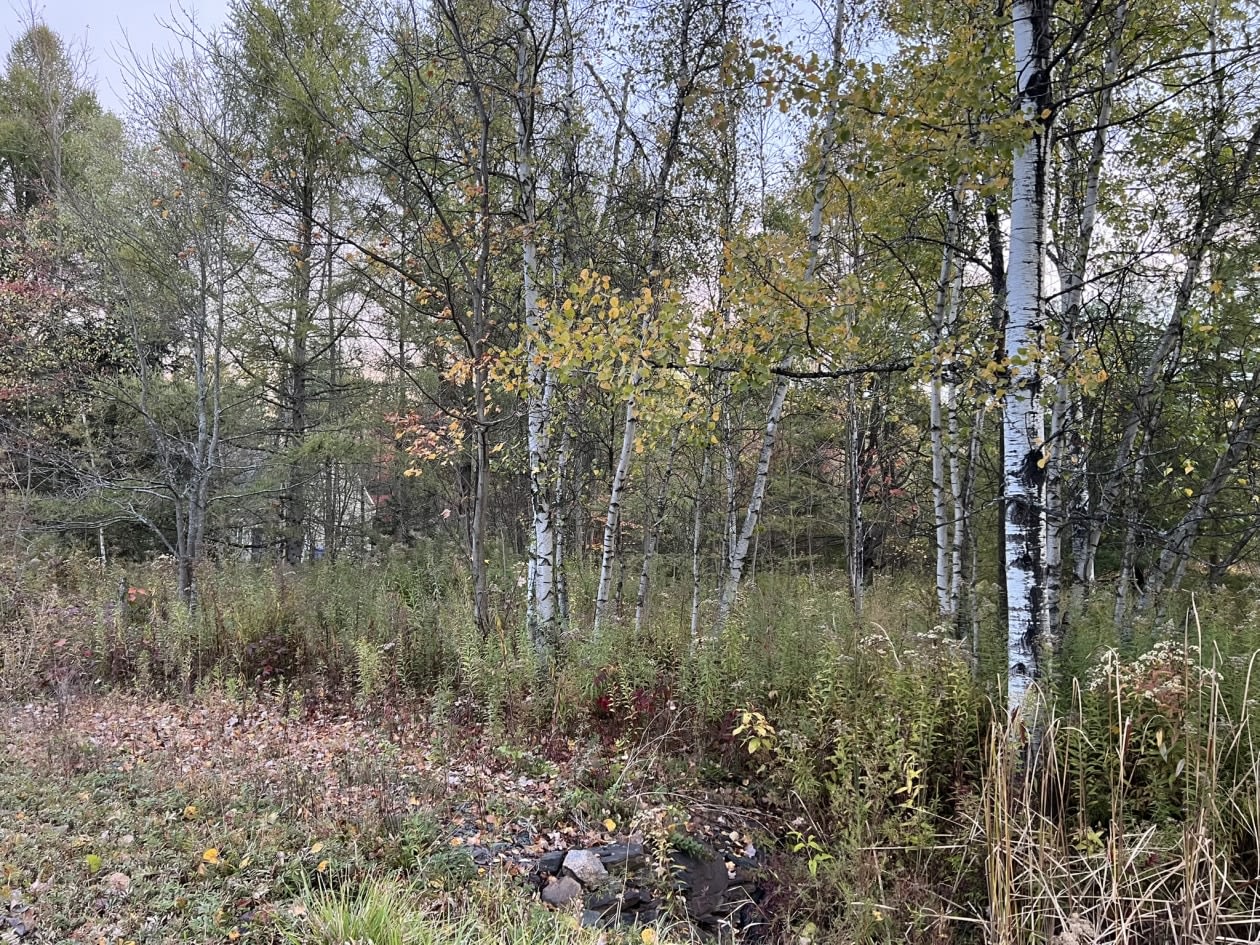 Terrain — Rue du Tournesol , Shefford, J2M 1K9, Shefford