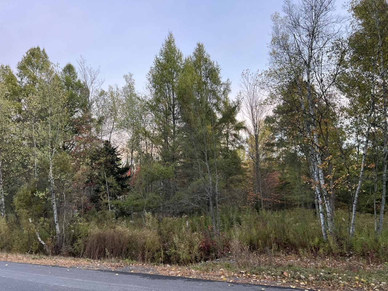 Terrain — Rue du Tournesol , Shefford, J2M 1K9, Shefford