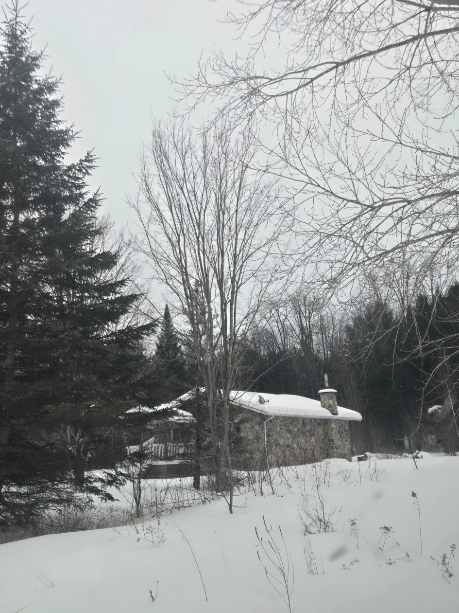 6148 Rue Rodrigue — photo 2