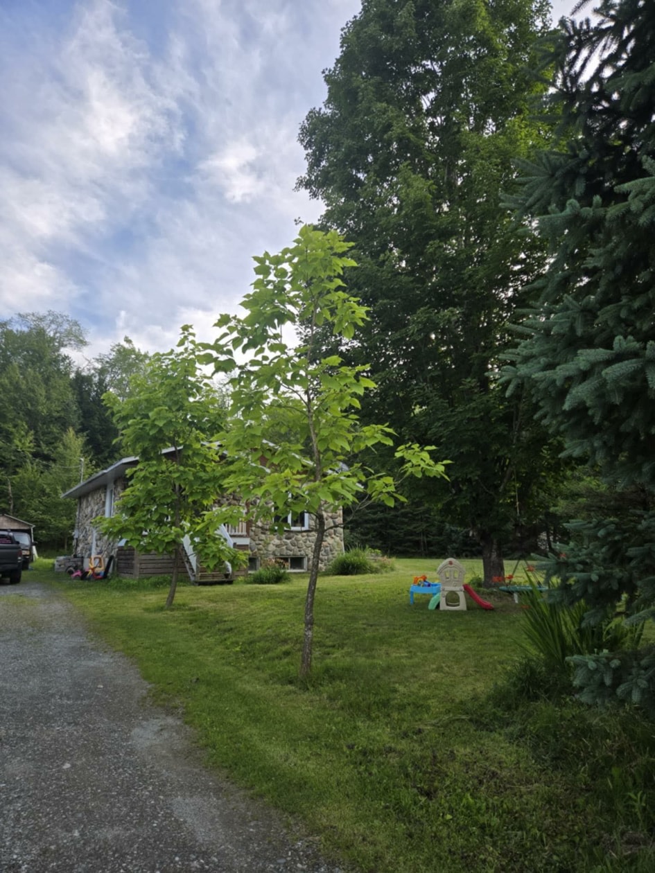 6148 Rue Rodrigue — photo 3