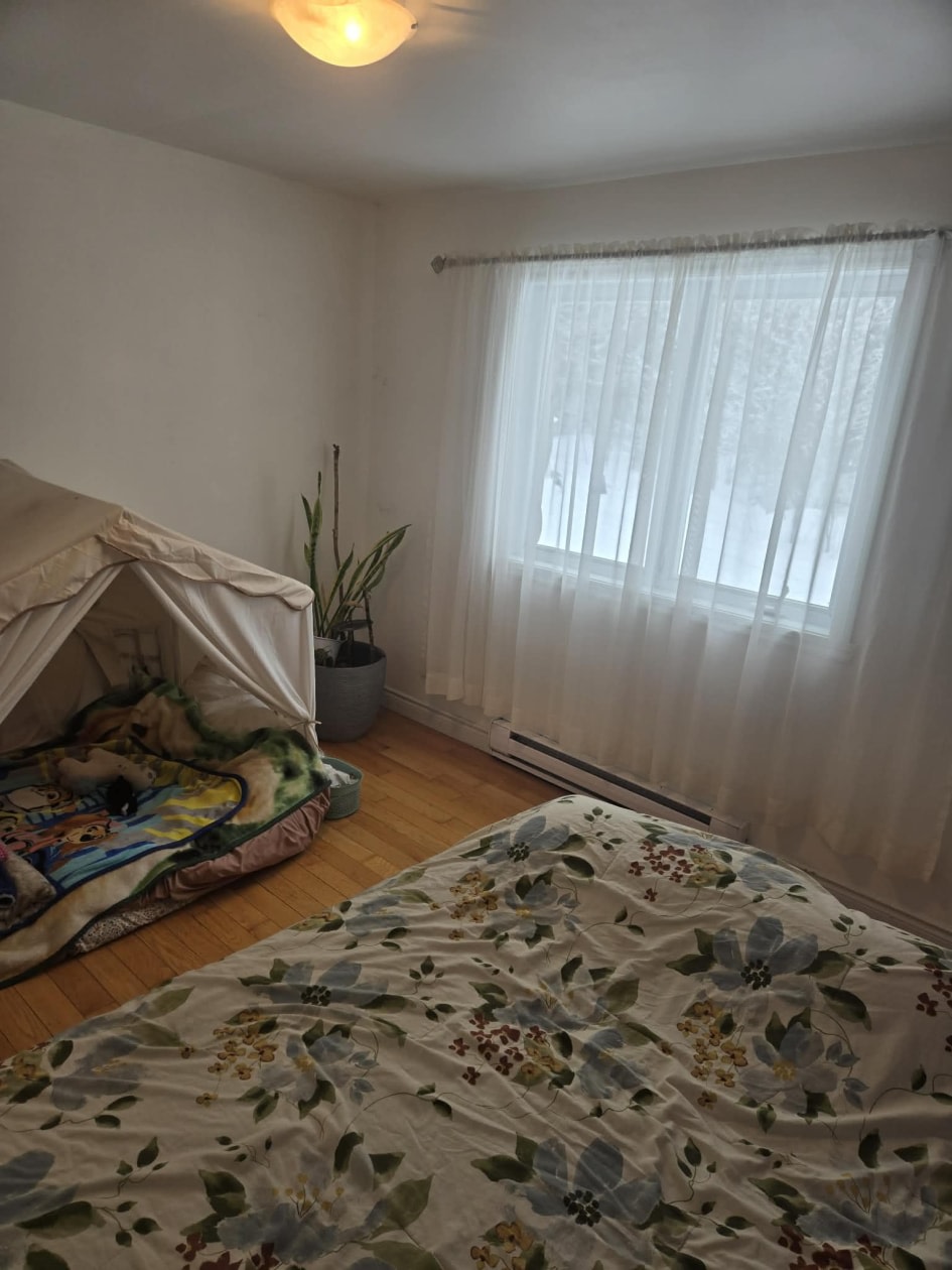 Photo 8 — 6148 Rue Rodrigue, Sherbrooke, J1N 3A7, Sherbrooke