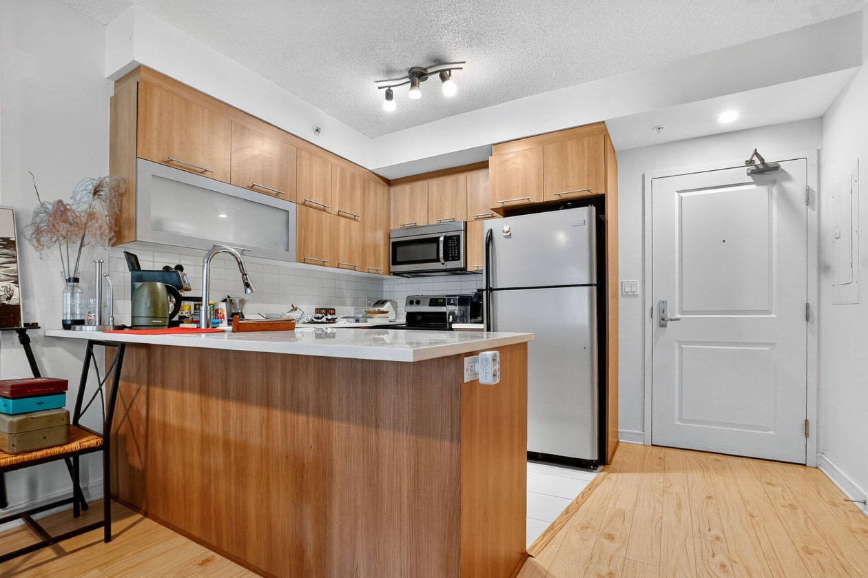 Photo 10 — 1248 Hôtel-de-Ville, 217, Montréal, H2X 3A9, Montréal