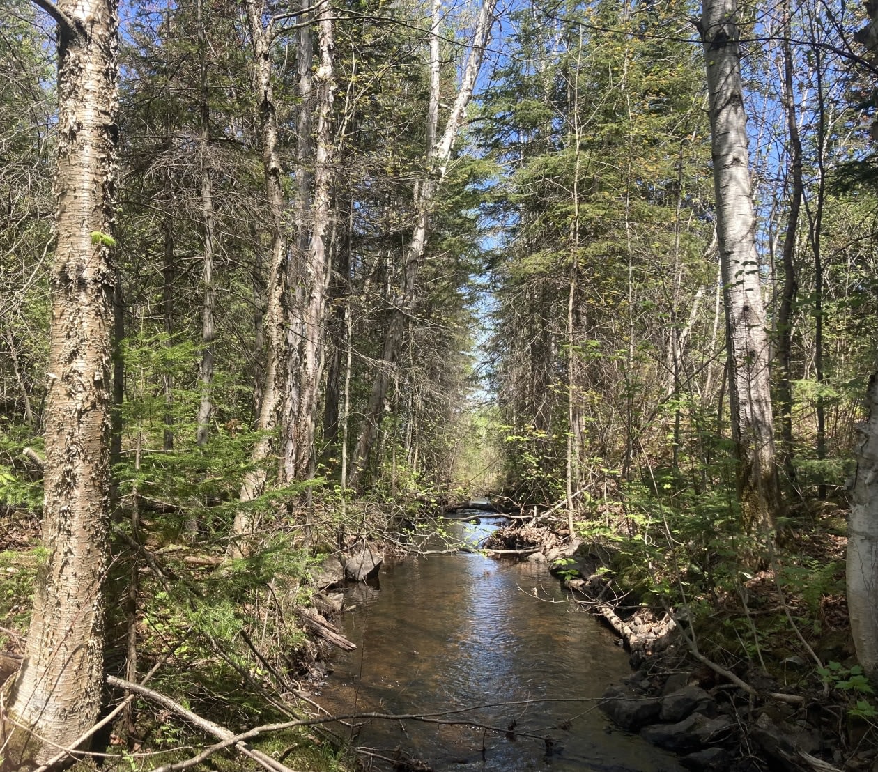 Photo 5 — QC-170, La Baie, G7B 3P6, La Baie