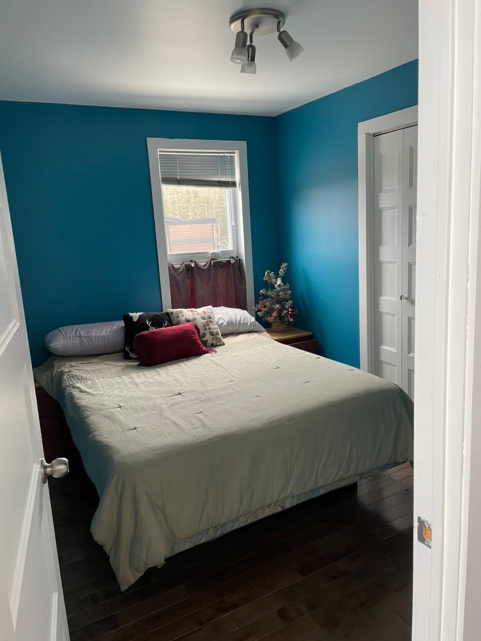 Photo 8 — 143 Rue de Méribel, Falardeau, G0V 1C0, Falardeau