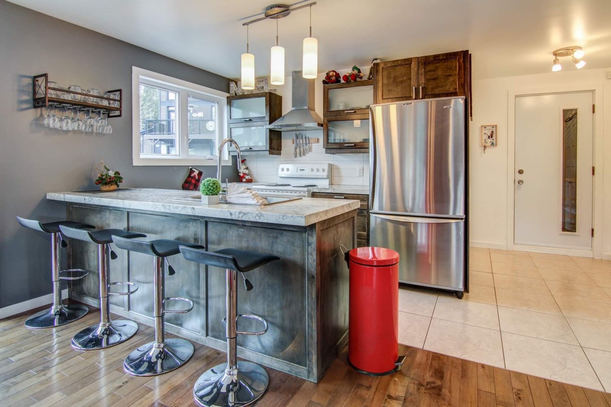 Photo 23 — 143 Rue de Méribel, Falardeau, G0V 1C0, Falardeau