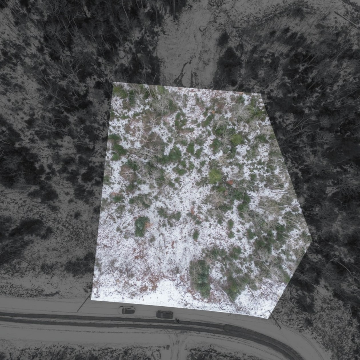 chemin du belvédère — photo 1