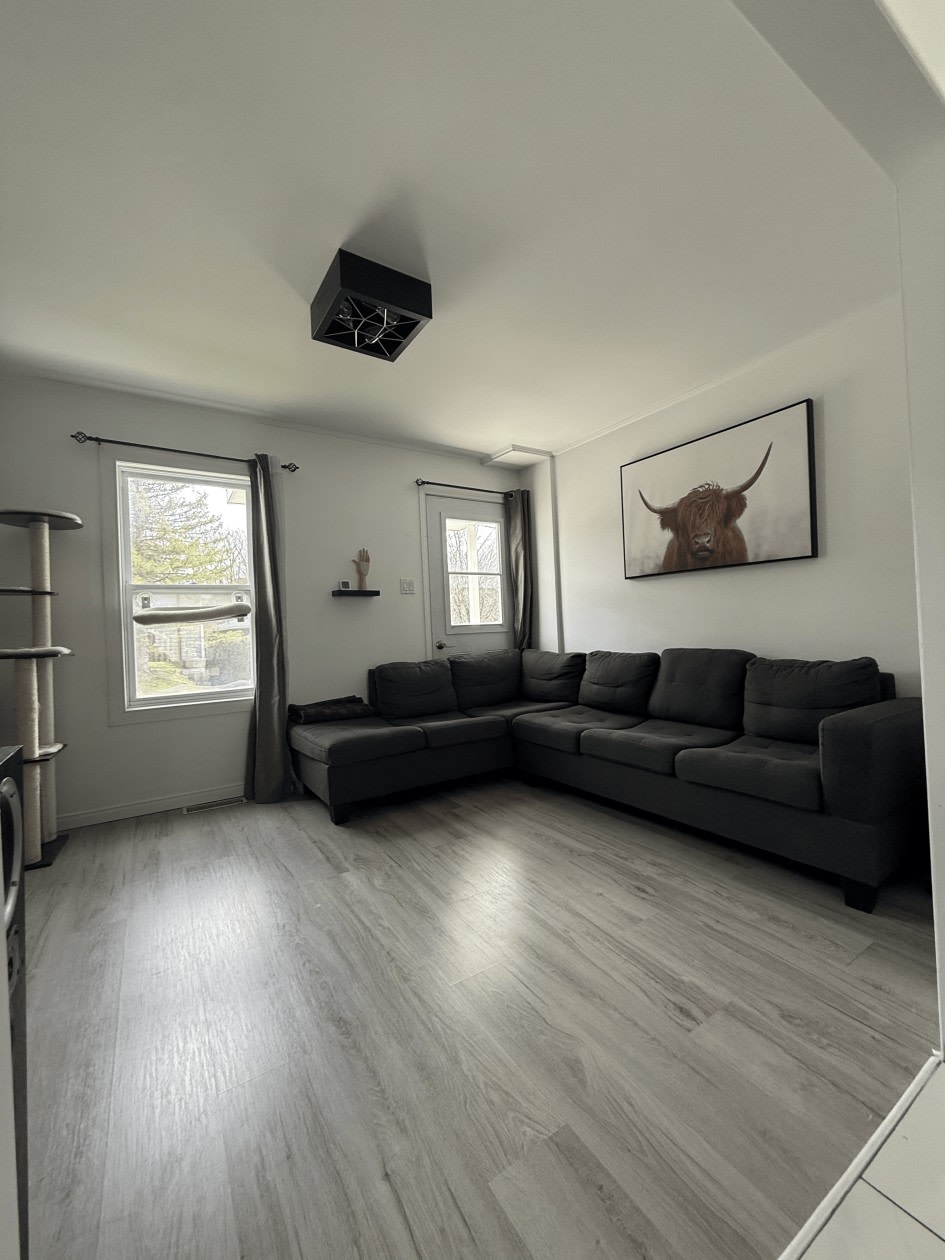 Salon — 27 Rue Brown, Windsor, J1S 2K7, Windsor