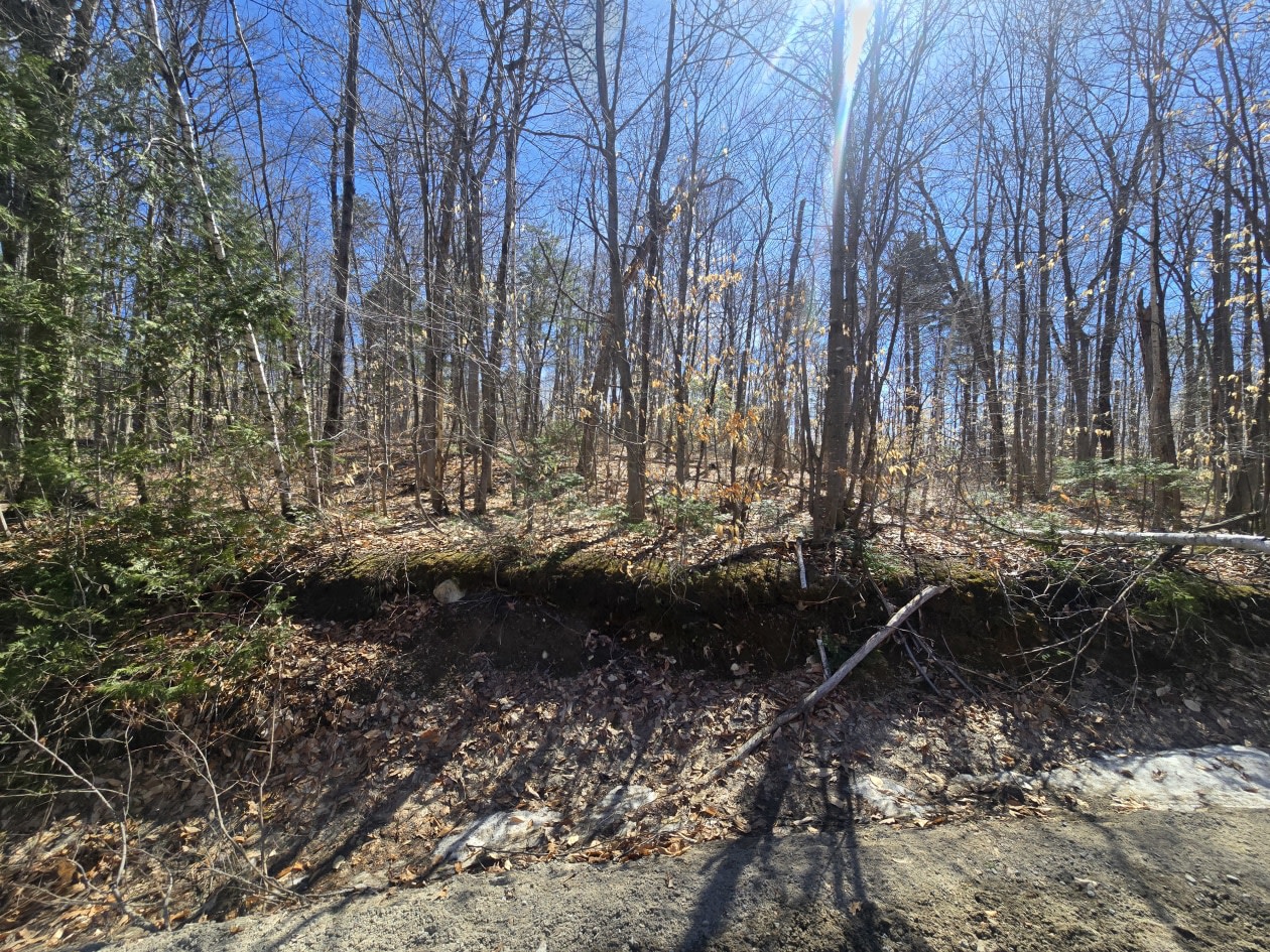Photo 5 — Rue Mountain, Rawdon, J0K 1S0, Rawdon