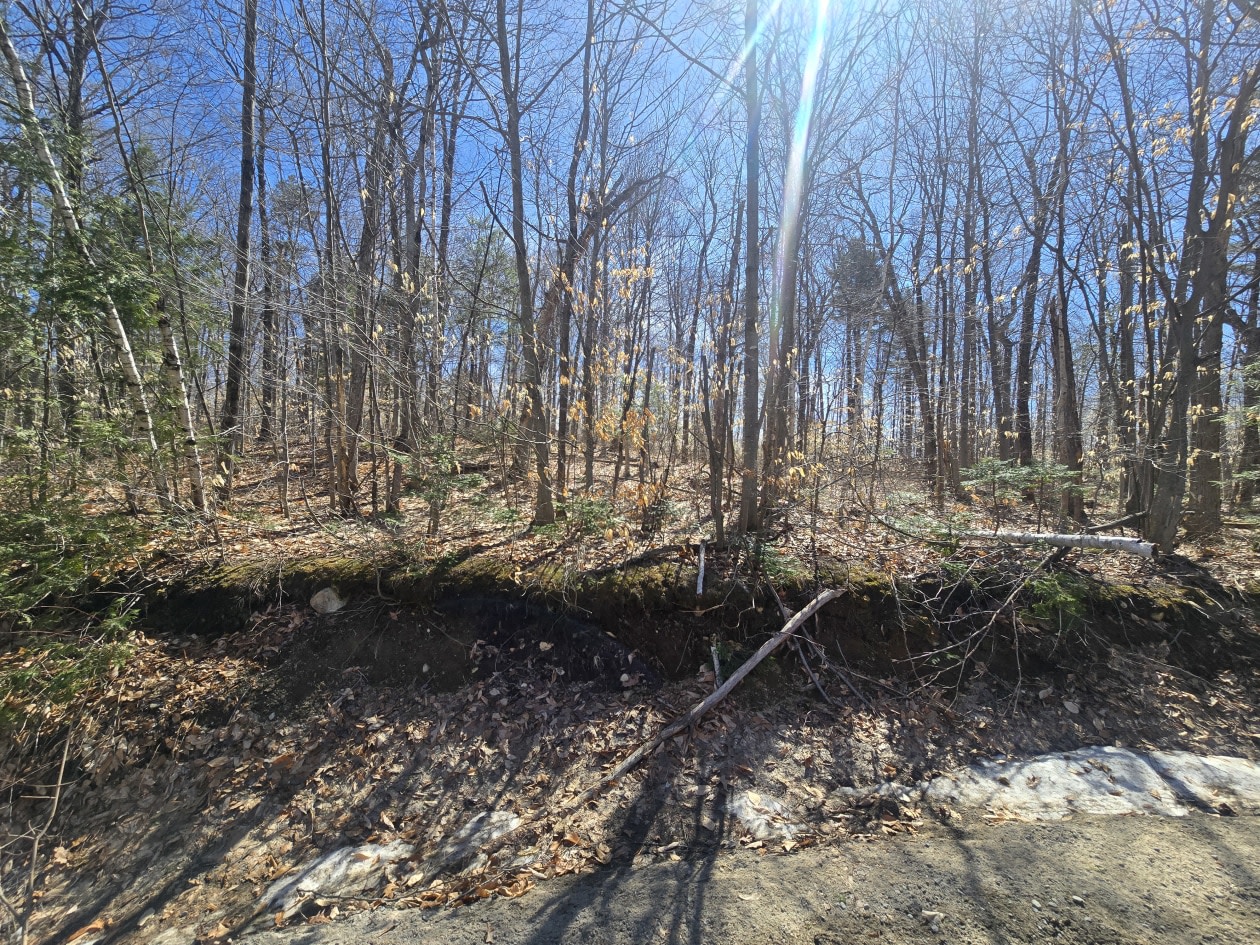 Rue Mountain