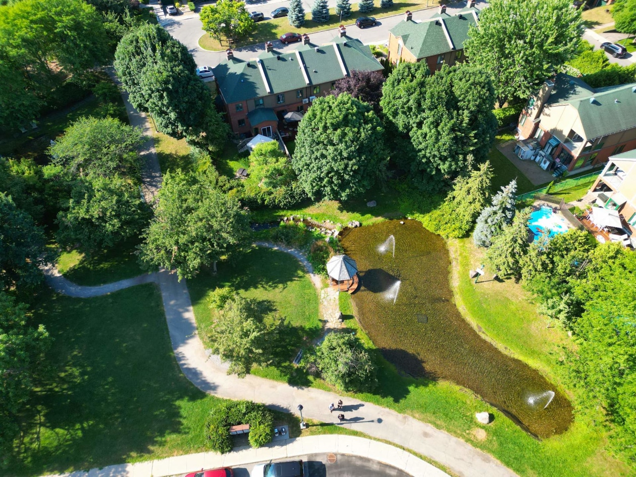 Vue d'ensemble — 3379, Rue J.-A.-Descarries, Montréal (Lachine), H8T3N1, Montréal (Lachine)
