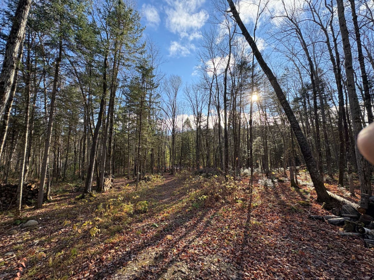 Terrain — Rue des Fougères, Sainte-Béatrix, J0K1Y0, Sainte-Béatrix