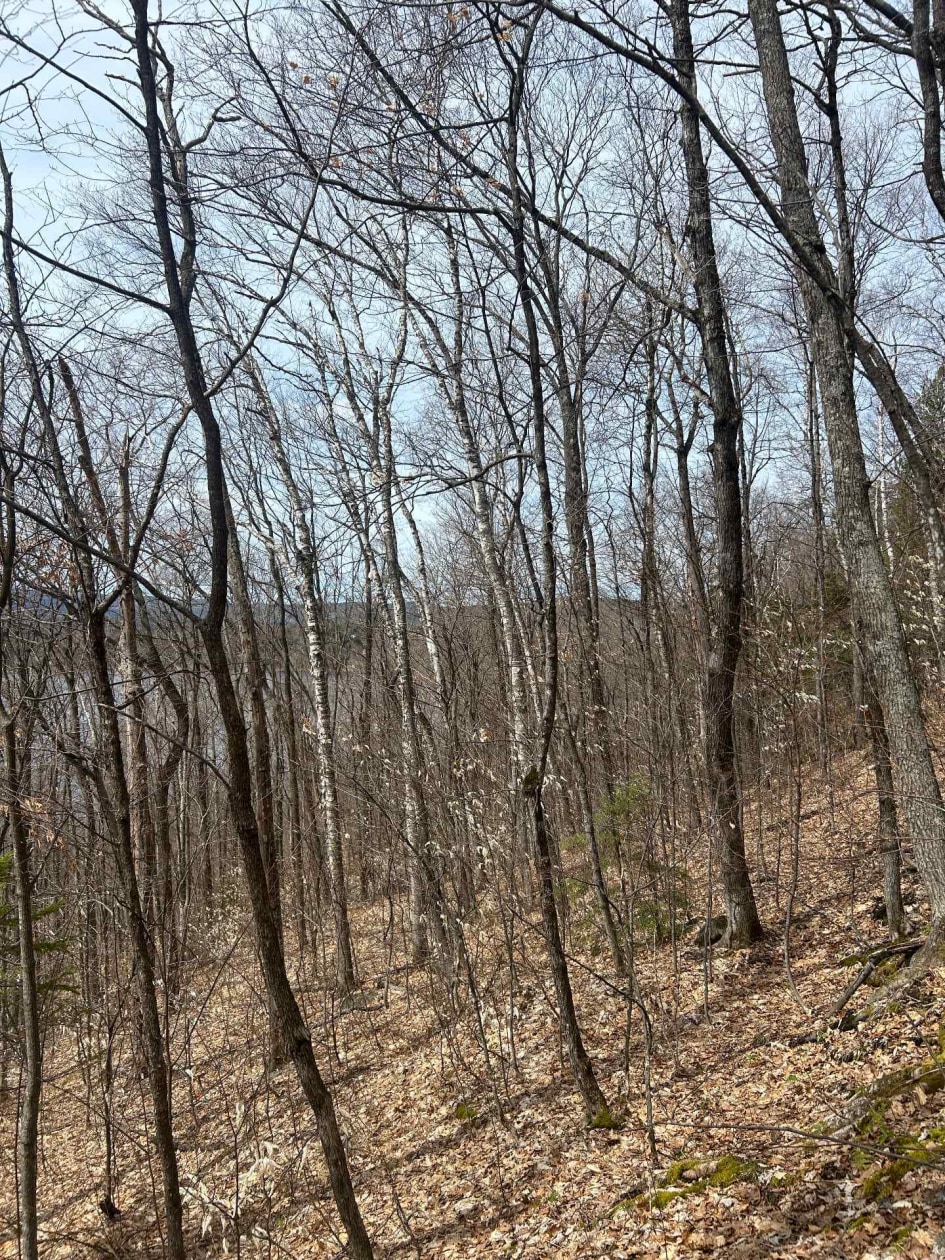 Terrain — Ch. Prébois, Saint-Damien, J0K2E0, Saint-Damien