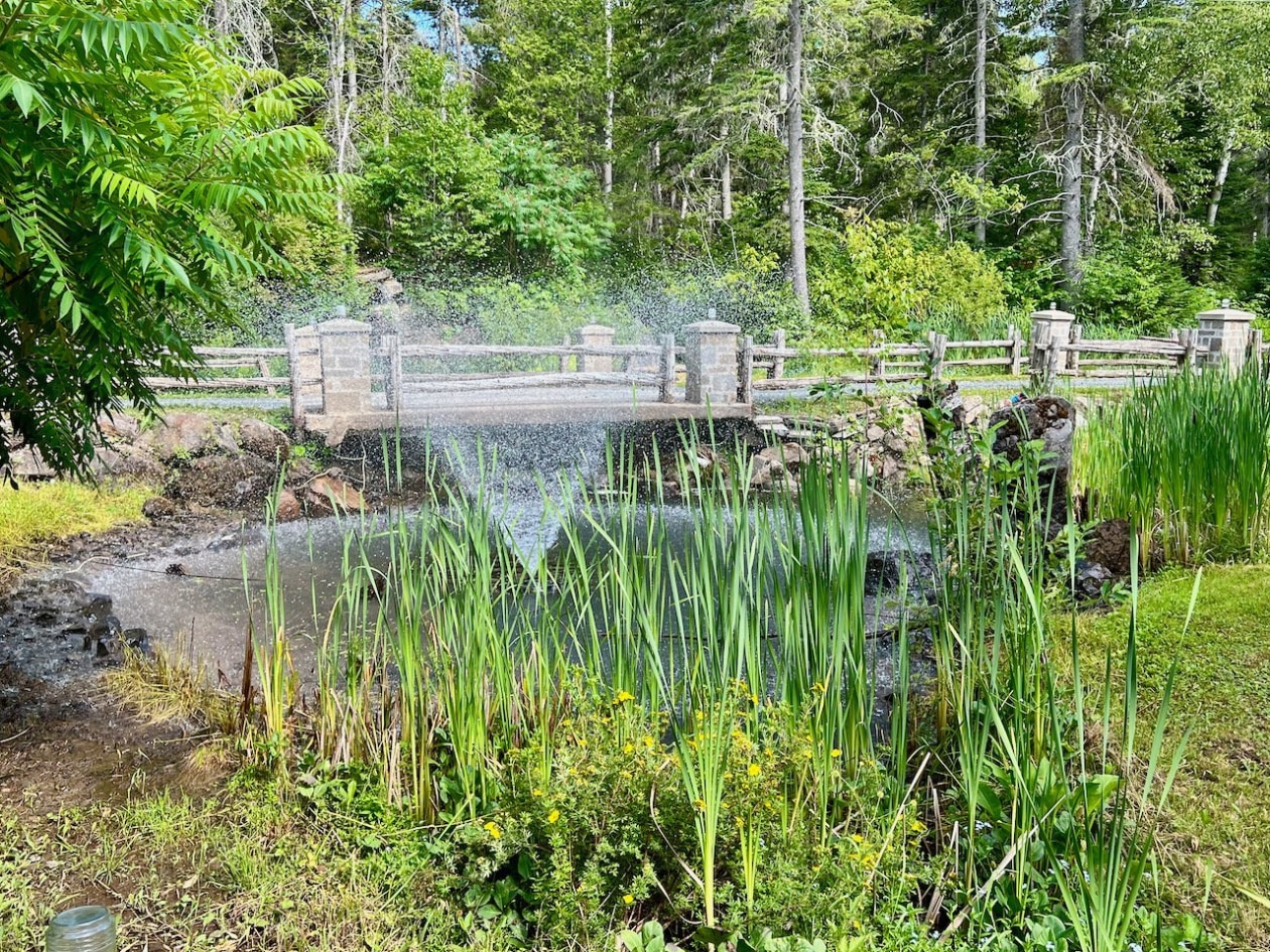Jardin — 110, 1er rang de Massé, Sainte-Angèle-de-Mérici, G0J2H0, Sainte-Angèle-de-Mérici