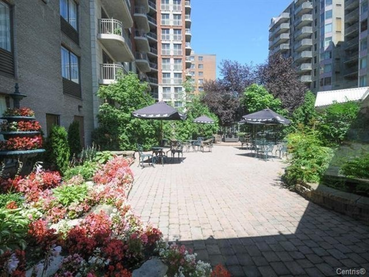 Terrasse — 1077, Rue St-Mathieu, 668, Montréal (Ville-Marie), H3H2S4, Montréal (Ville-Marie)