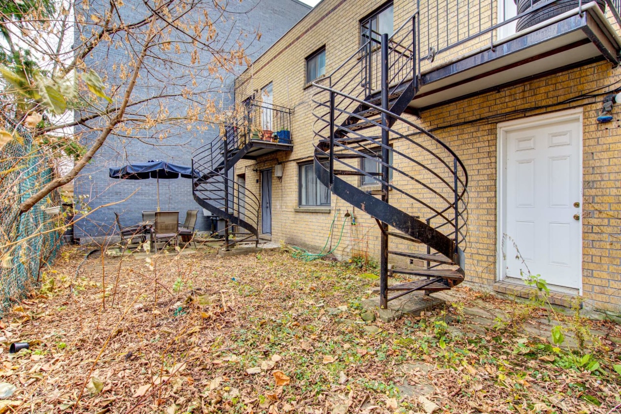 Cour — 2221 - 2227, Rue Panet, Montréal (Ville-Marie), H2L3A4, Montréal (Ville-Marie)
