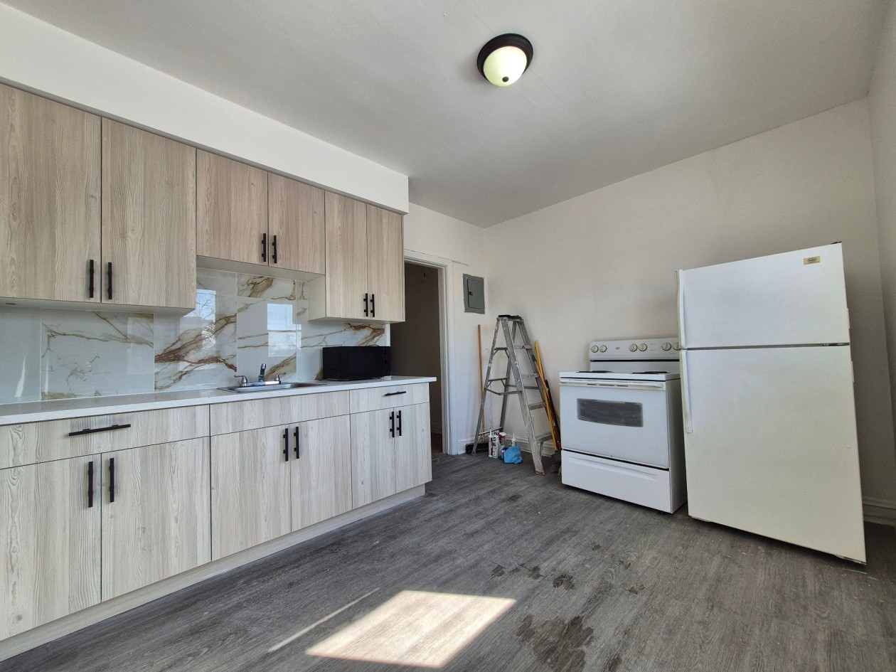 Photo 9 — 2904, Rue Allard, Montréal (Le Sud-Ouest), H4E2M3, Montréal (Le Sud-Ouest)