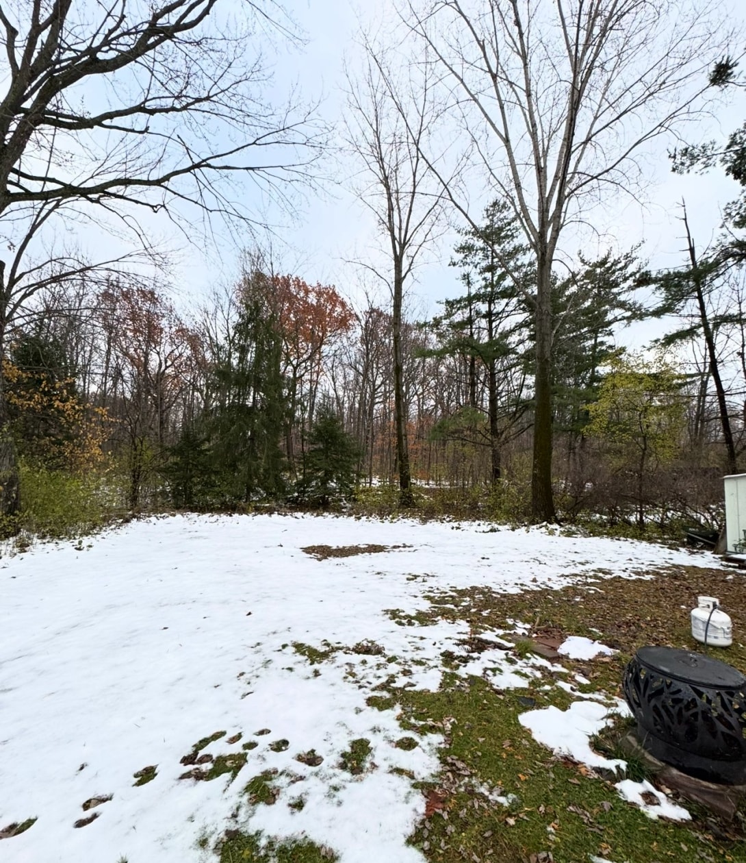 Cour — 414, Av. St-Louis, Pointe-Claire, H9R2A2, Pointe-Claire