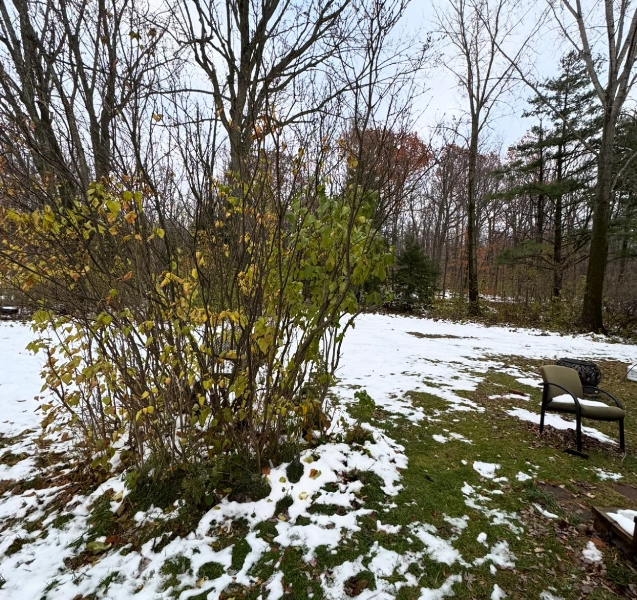 Cour — 414, Av. St-Louis, Pointe-Claire, H9R2A2, Pointe-Claire