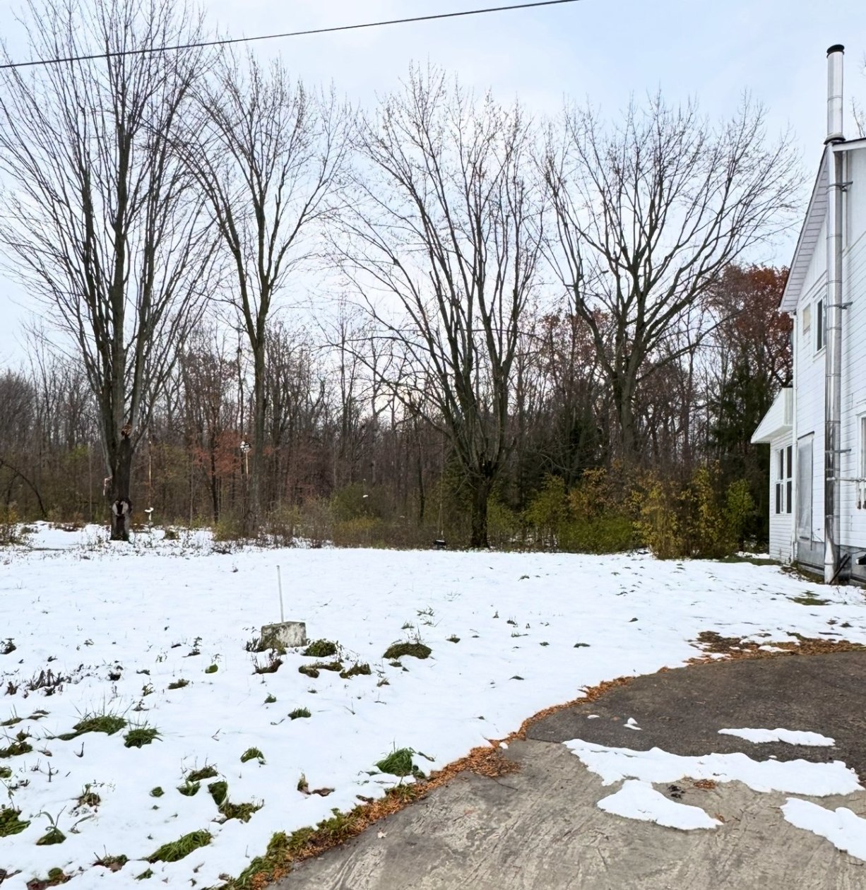 Cour — 414, Av. St-Louis, Pointe-Claire, H9R2A2, Pointe-Claire