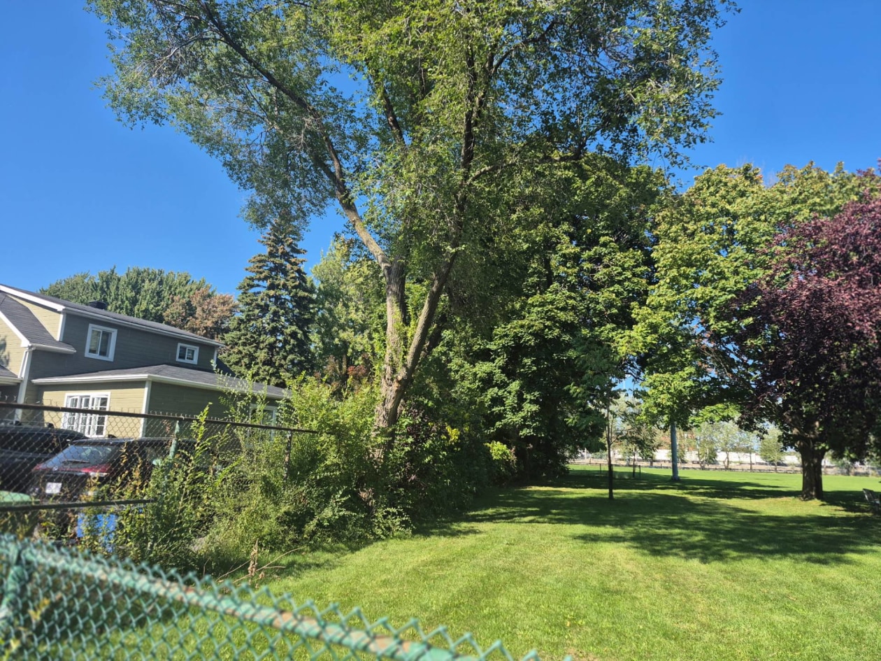 Photo 21 — 145, Rue Hayward, Montréal (LaSalle), H8R2G6, Montréal (LaSalle)