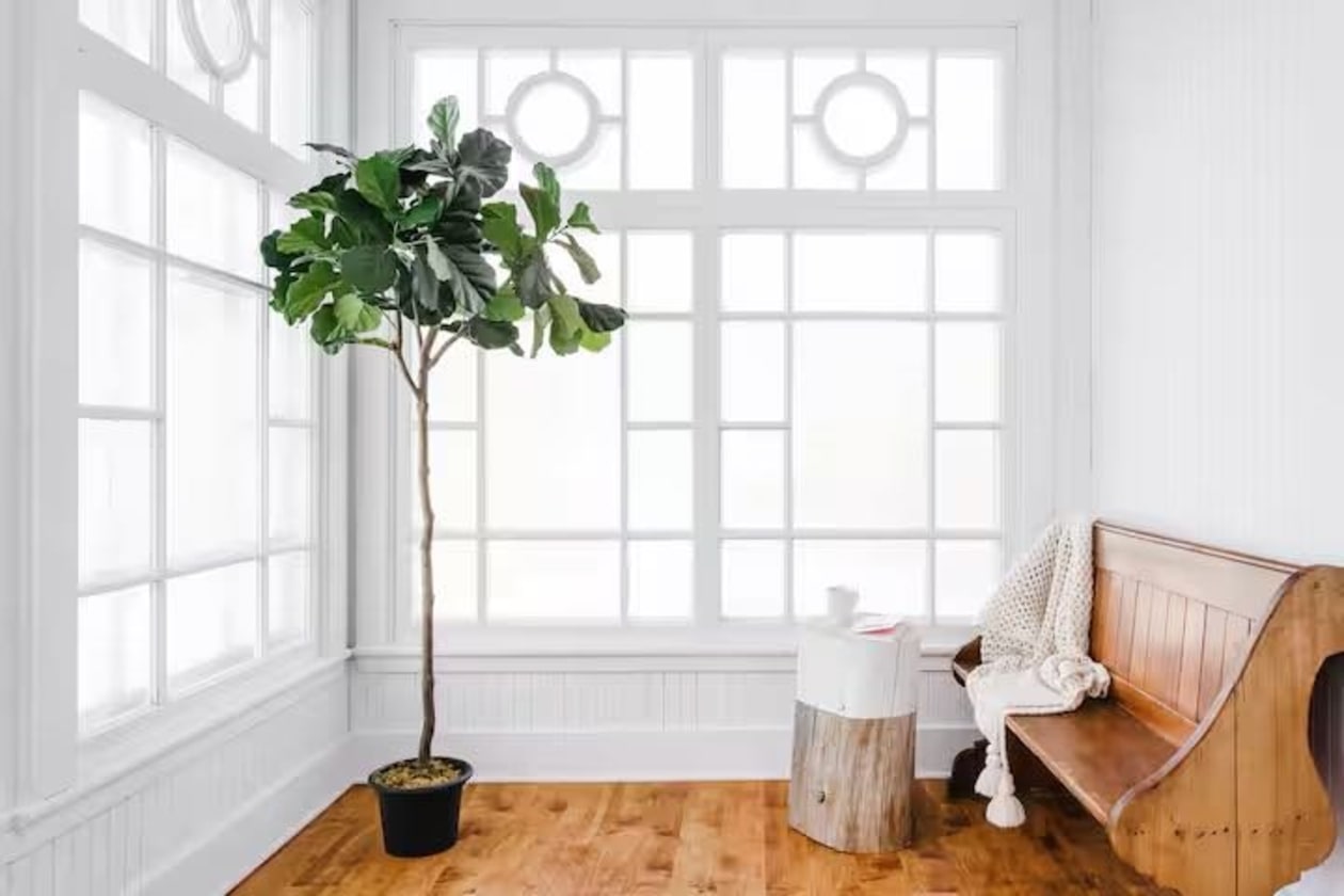 Verrière — 527, Av. St-Jérome, 1 À 9, Matane, G4W3B8, Matane