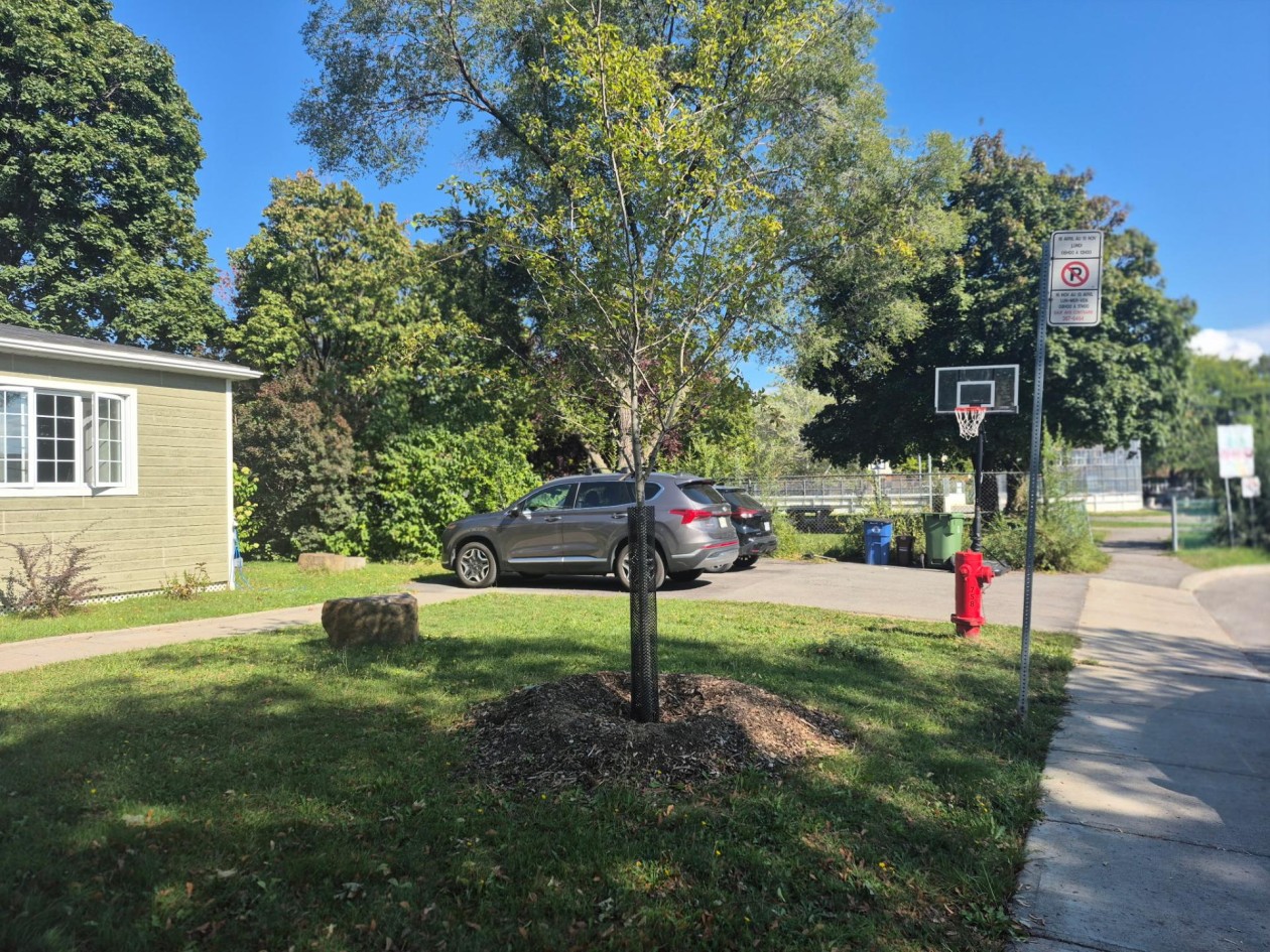 Photo 20 — 145, Rue Hayward, Montréal (LaSalle), H8R2G6, Montréal (LaSalle)