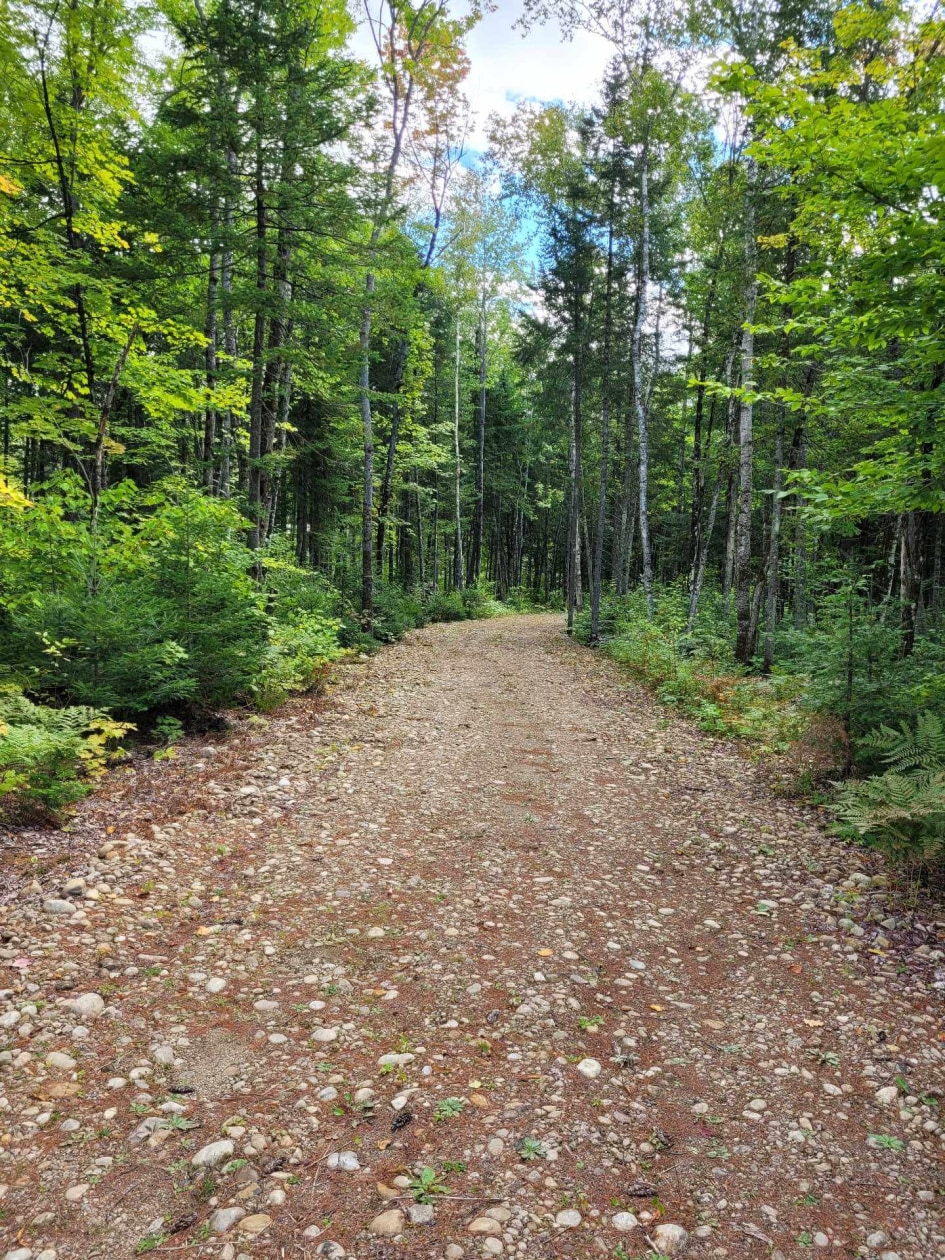 Terrain — Rue des Fougères, Sainte-Béatrix, J0K1Y0, Sainte-Béatrix