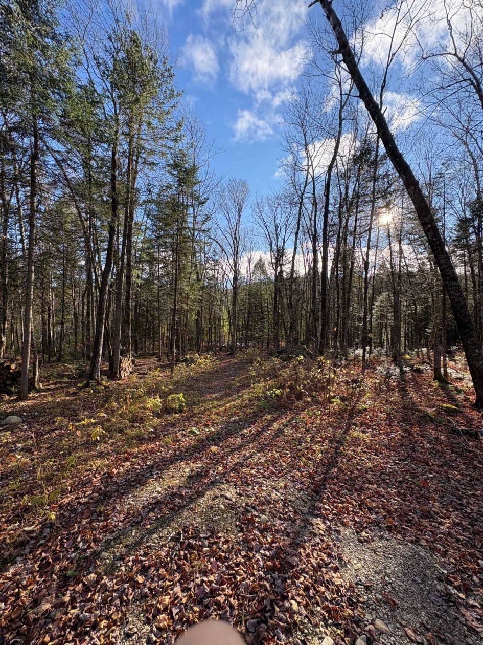 Terrain — Rue des Fougères, Sainte-Béatrix, J0K1Y0, Sainte-Béatrix