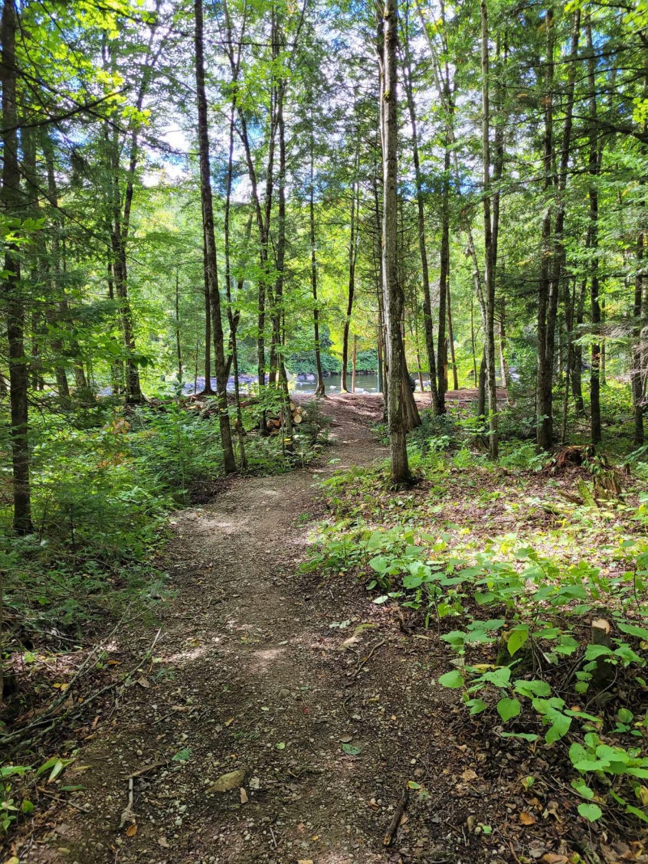 Terrain — Rue des Fougères, Sainte-Béatrix, J0K1Y0, Sainte-Béatrix
