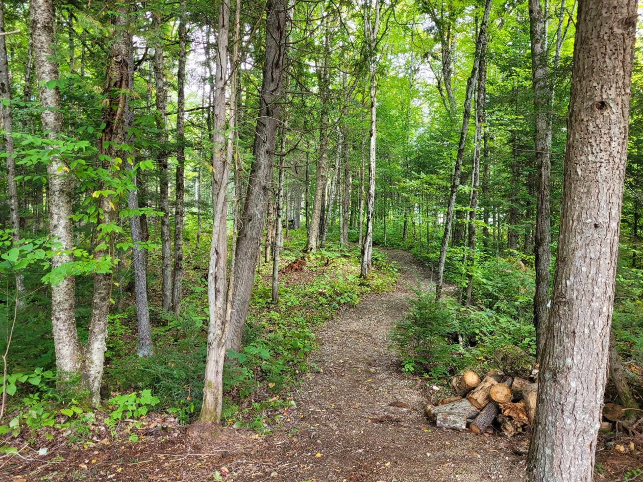 Terrain — Rue des Fougères, Sainte-Béatrix, J0K1Y0, Sainte-Béatrix