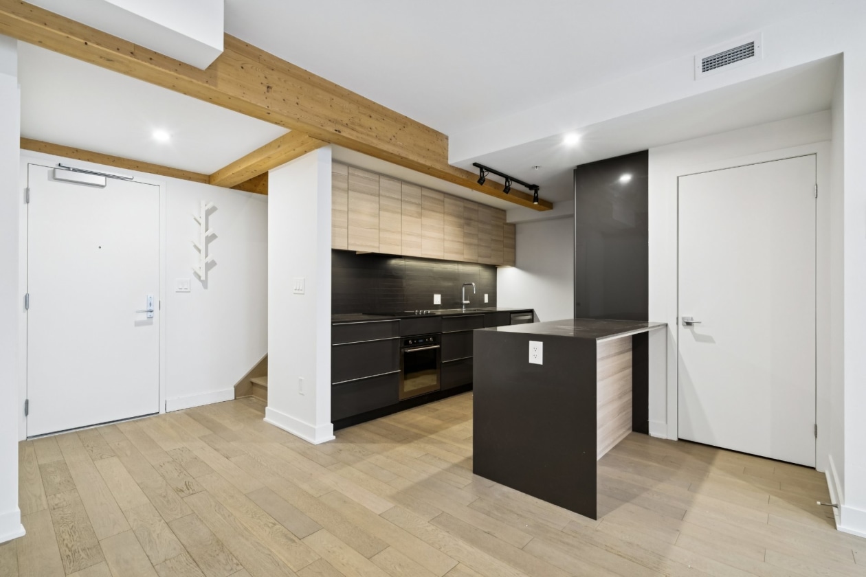Photo 4 — 1214, Rue William, Montréal (Le Sud-Ouest), H3C0T5, Montréal (Le Sud-Ouest)