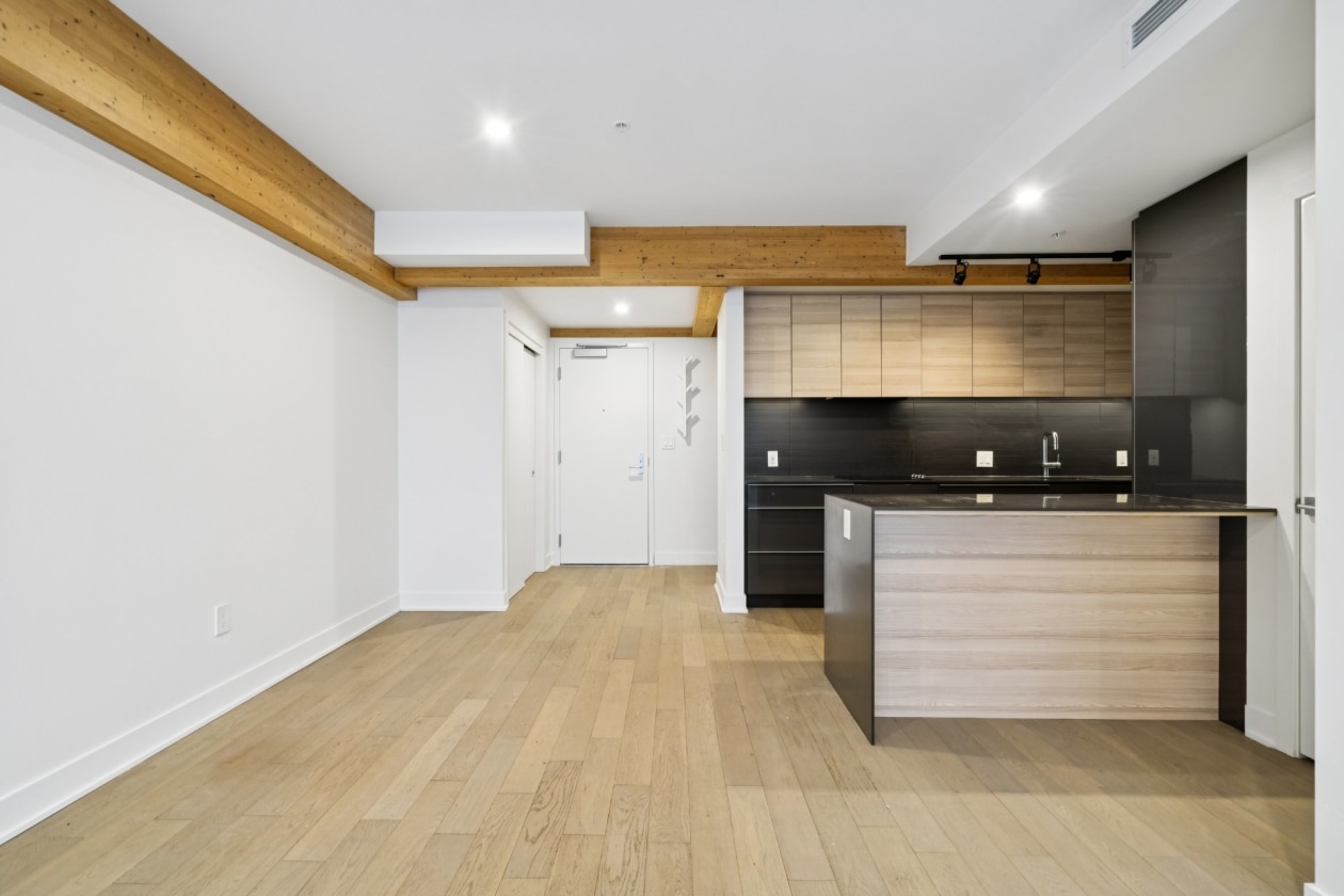 Photo 8 — 1214, Rue William, Montréal (Le Sud-Ouest), H3C0T5, Montréal (Le Sud-Ouest)