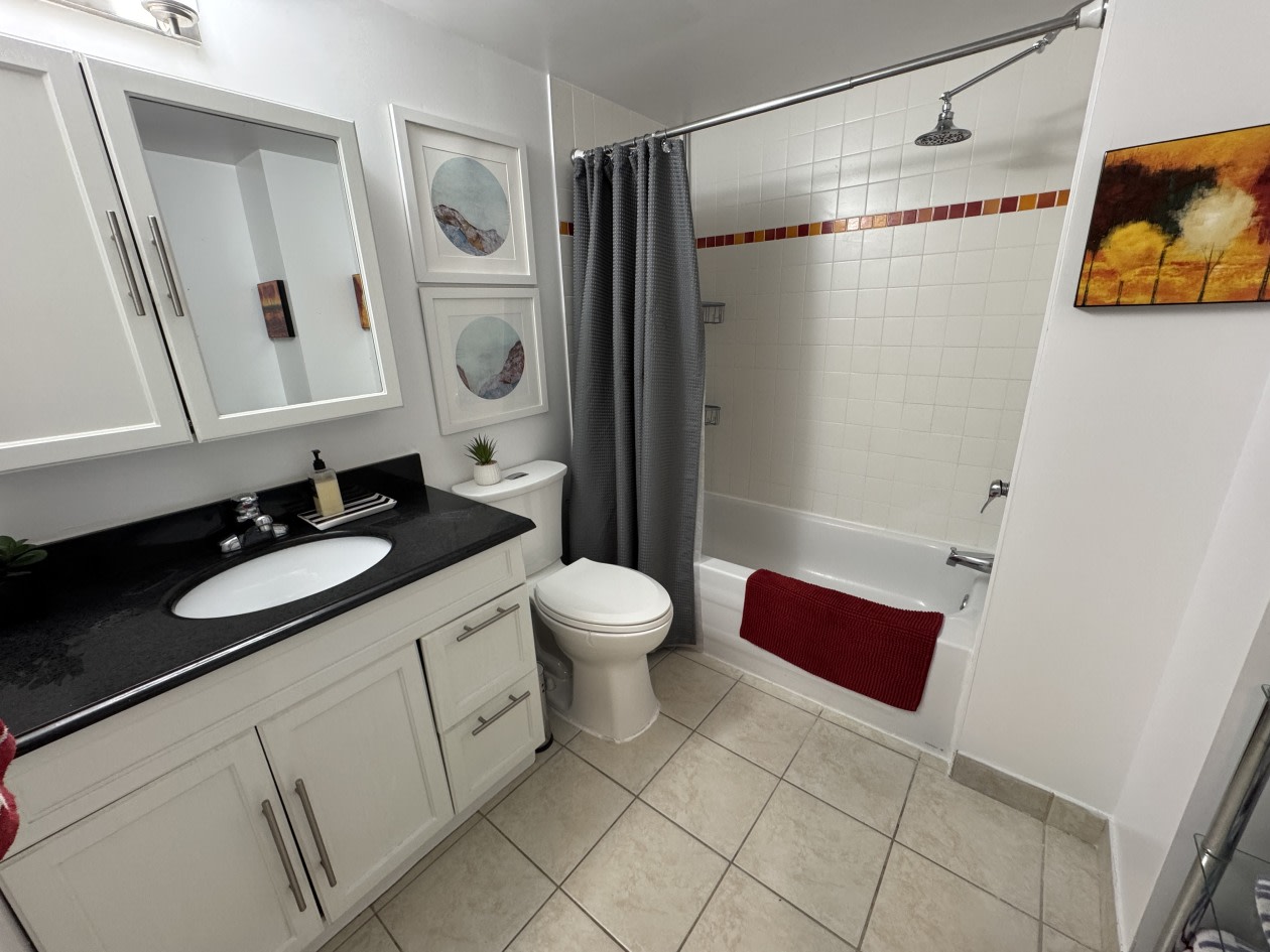 Salle de bains — 98 Rue Charlotte, 457, Montréal, H2X 3V2, Montréal
