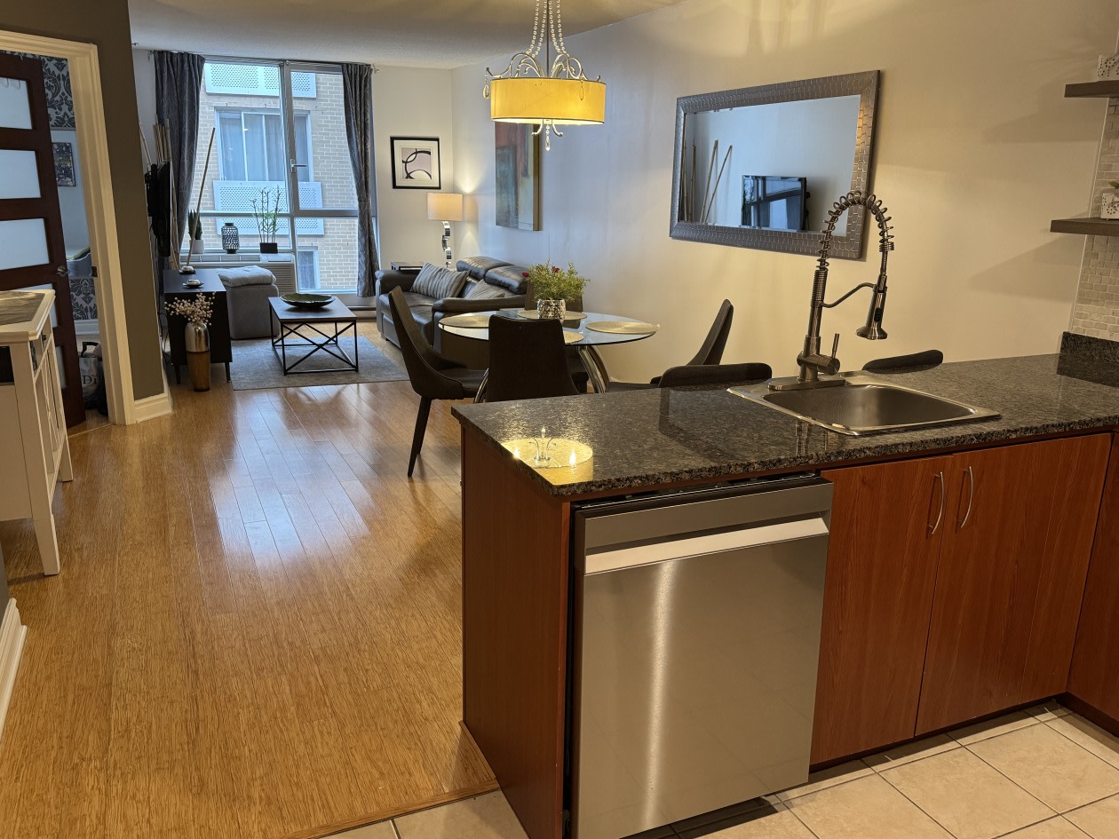 Vue d'ensemble — 98 Rue Charlotte, 457, Montréal, H2X 3V2, Montréal