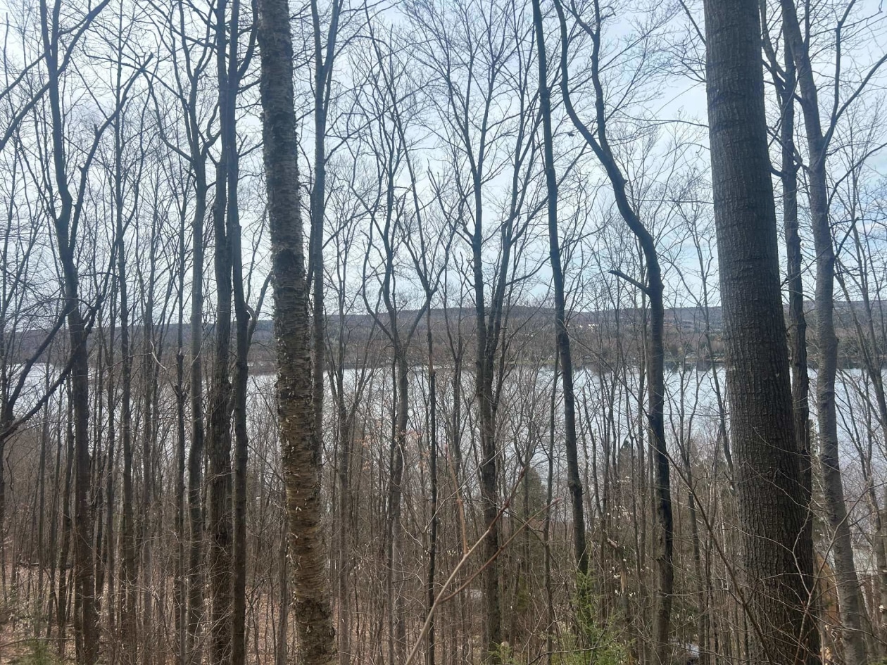 Photo 5 — Ch. Prébois, Saint-Damien, J0K2E0, Saint-Damien