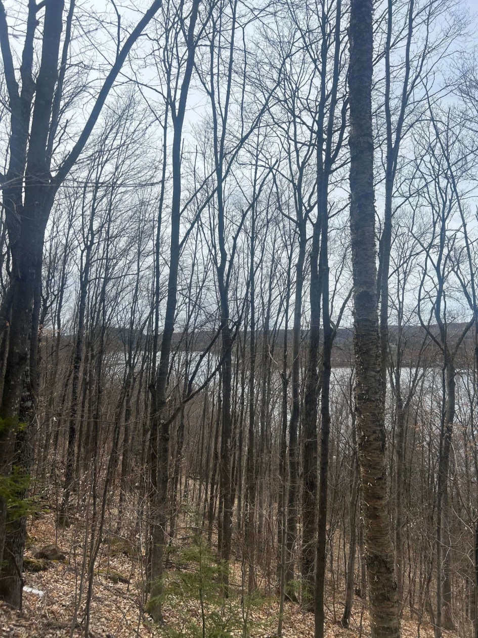 Photo 4 — Ch. Prébois, Saint-Damien, J0K2E0, Saint-Damien