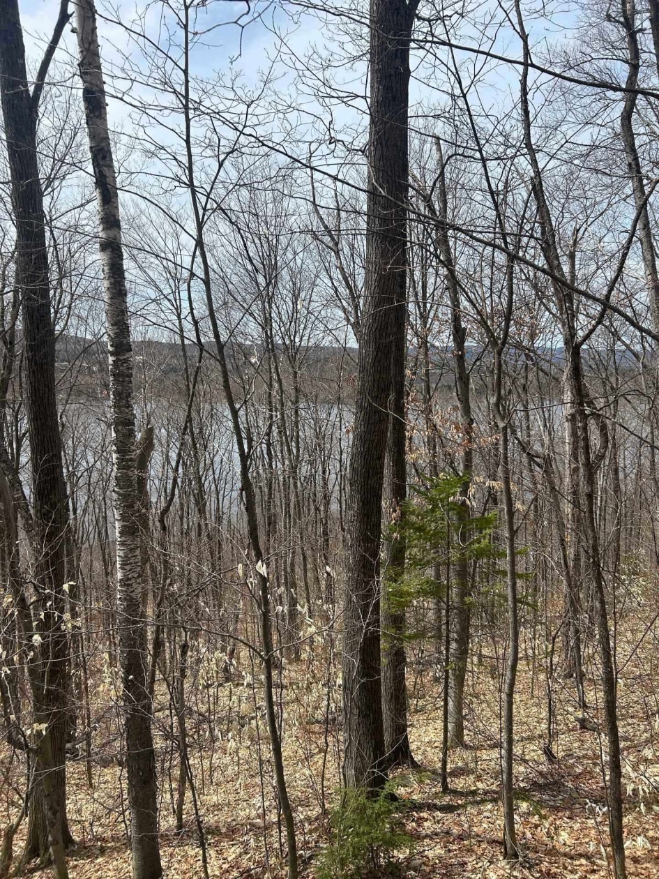 Photo 7 — Ch. Prébois, Saint-Damien, J0K2E0, Saint-Damien