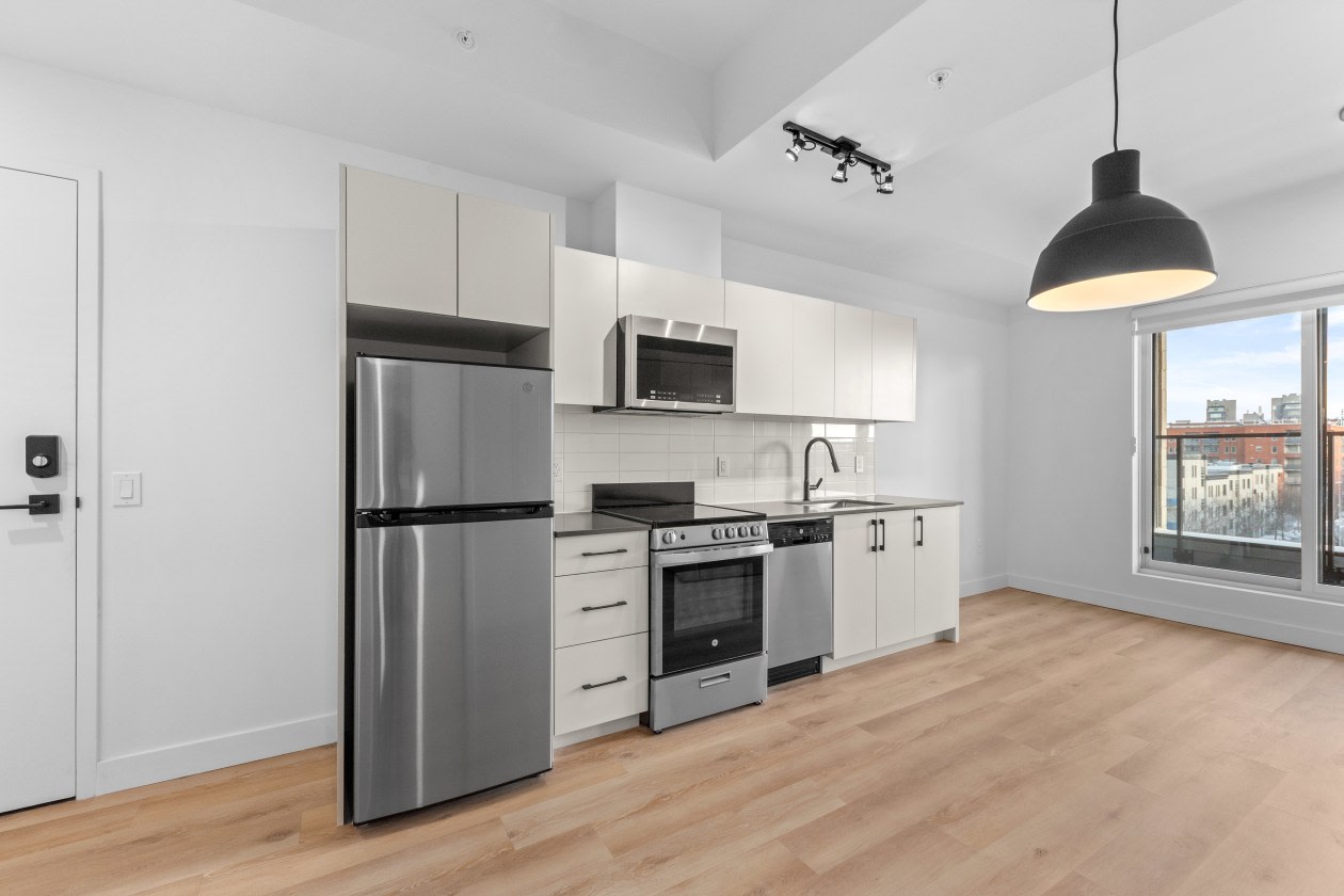 Photo 5 — 1133 Av Viger E, Montréal, H2L 0K1, Montréal