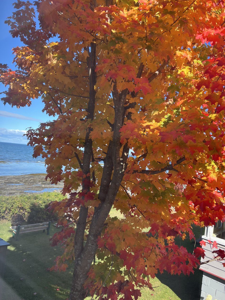 Photo 26 — 1054 Rue de La Plage, Rimouski, G5L 8Y9, Rimouski