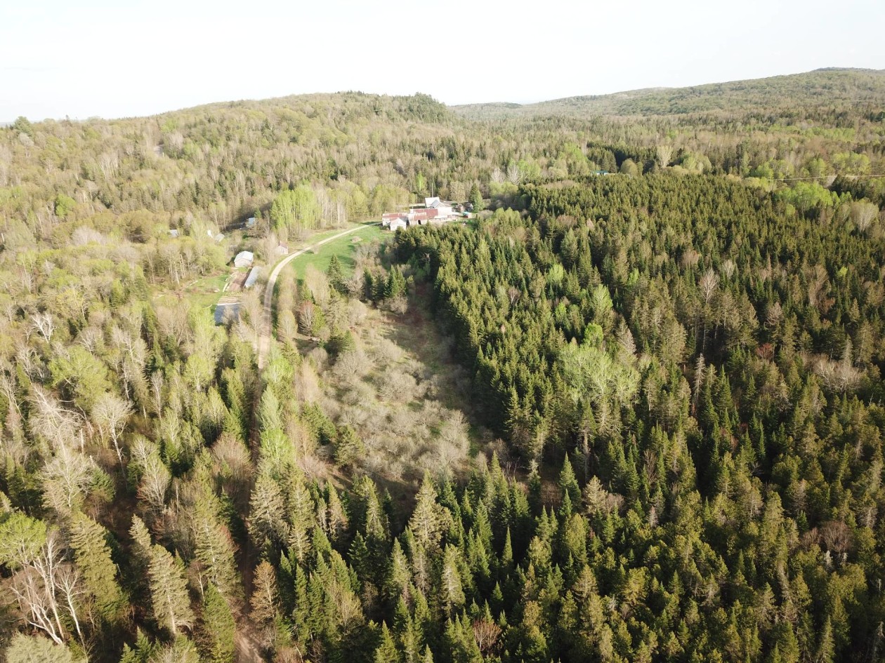 Vue d'ensemble — 1031, Rg du Sacré-Coeur, Saint-Jean-de-Matha, J0K2S0, Saint-Jean-de-Matha