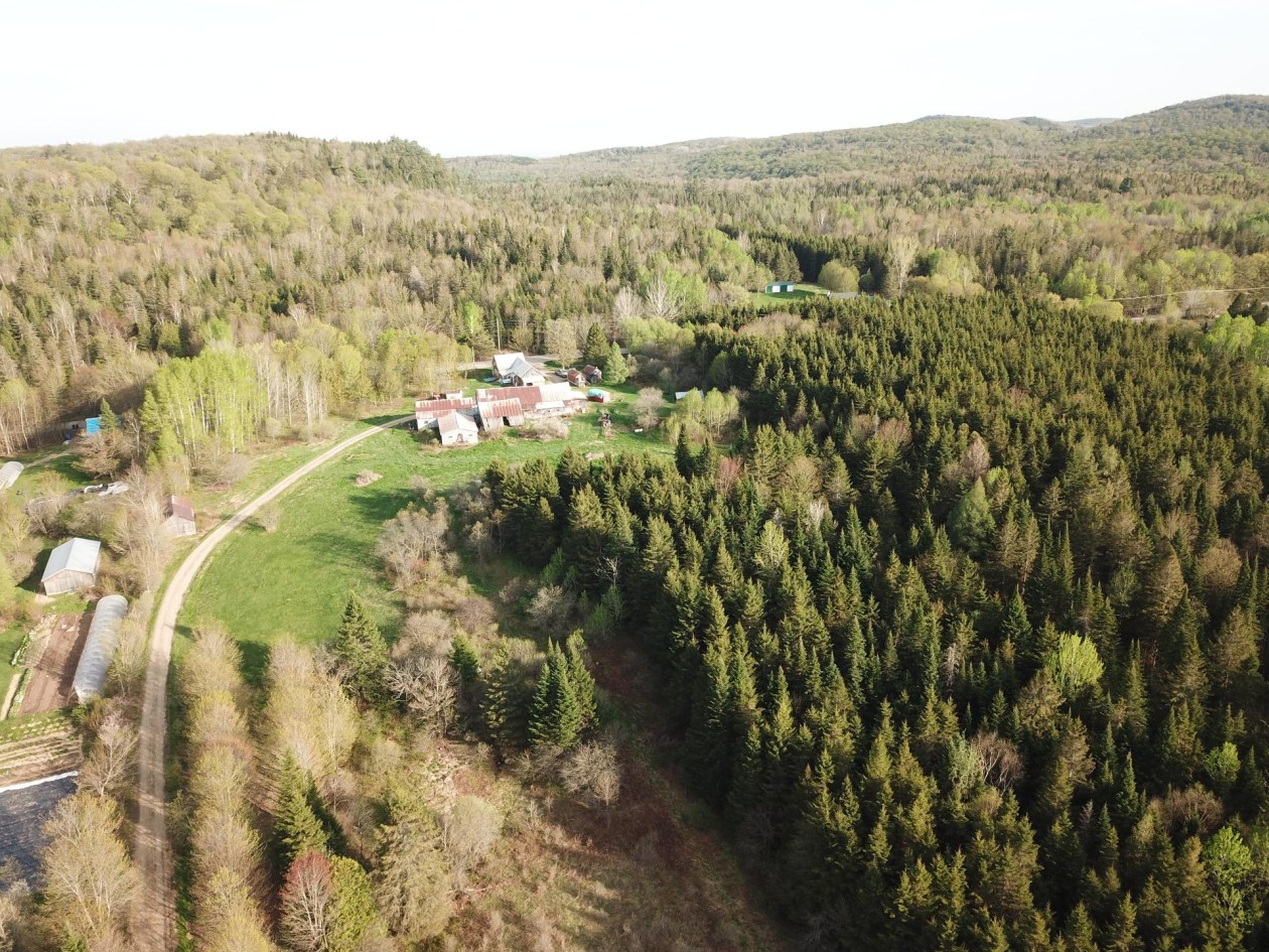 Vue d'ensemble — 1031, Rg du Sacré-Coeur, Saint-Jean-de-Matha, J0K2S0, Saint-Jean-de-Matha