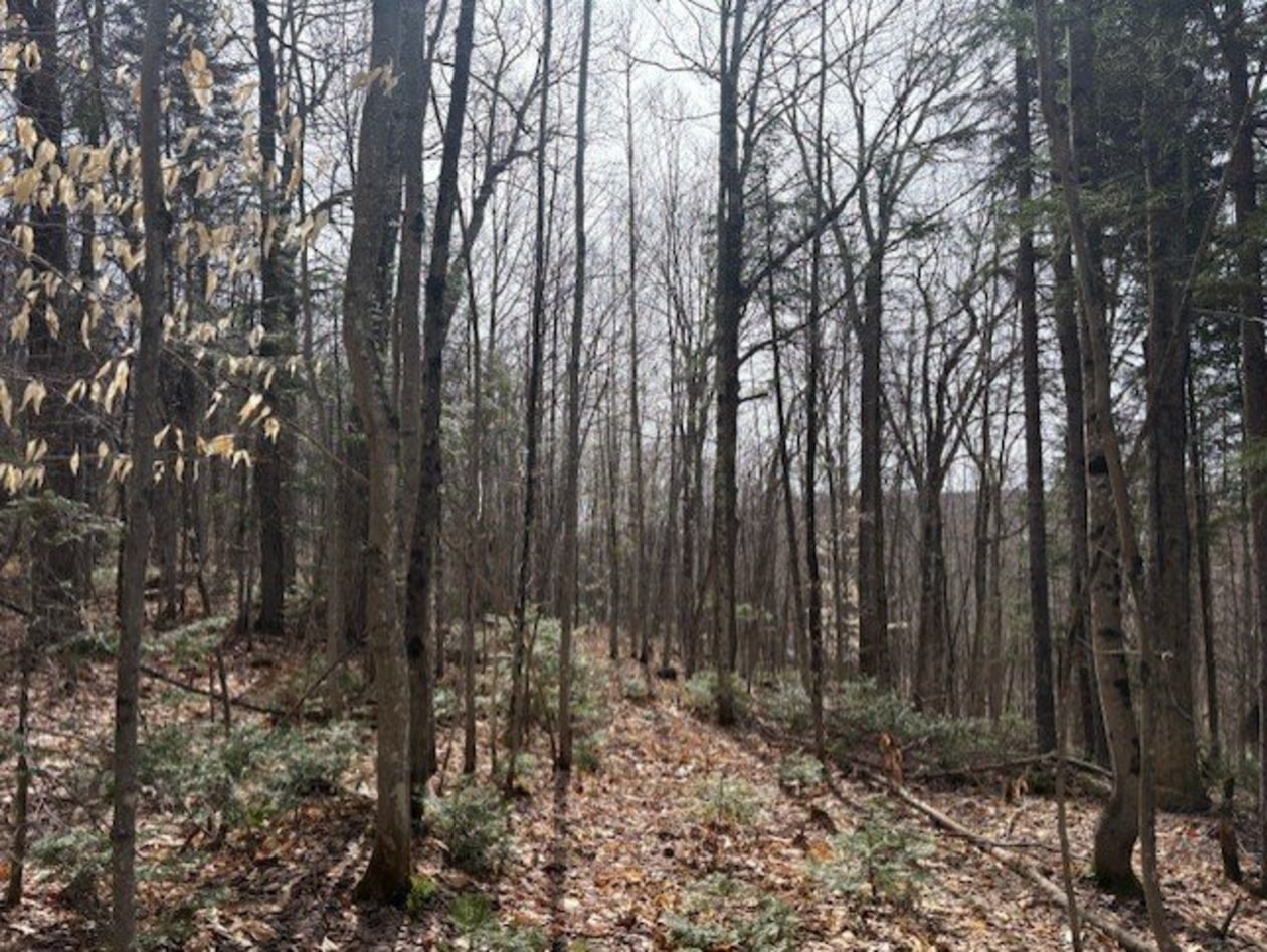 Terrain — 1031, Rg du Sacré-Coeur, Saint-Jean-de-Matha, J0K2S0, Saint-Jean-de-Matha
