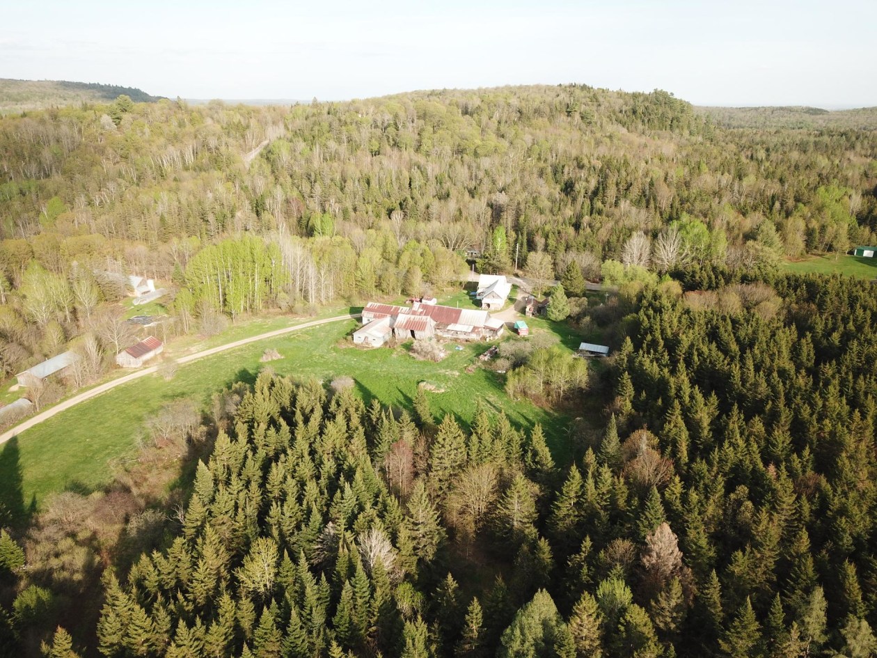 Vue d'ensemble — 1031, Rg du Sacré-Coeur, Saint-Jean-de-Matha, J0K2S0, Saint-Jean-de-Matha